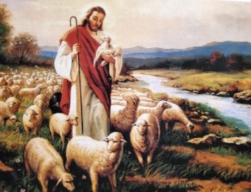 «Выбор за тобой…»